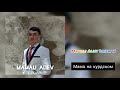 (Mamali Aliev Daikamn) Песня Зарина Тилидзе Мама на курдском