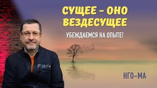 Сущее — оно Вездесущее, убеждаемся на опыте!