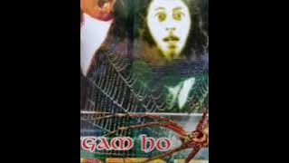 spider - bunga rimba