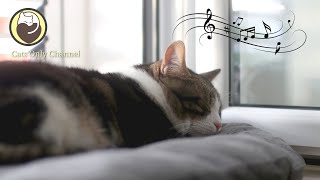 Soothing Music for Cats  Relaxing Harp Music with Cat Purring Sounds