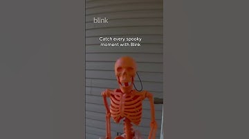 Happy Halloween from Team Blink!