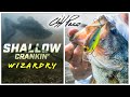 Catch more bass with shallow crankbaits  cliff pace hammerfest