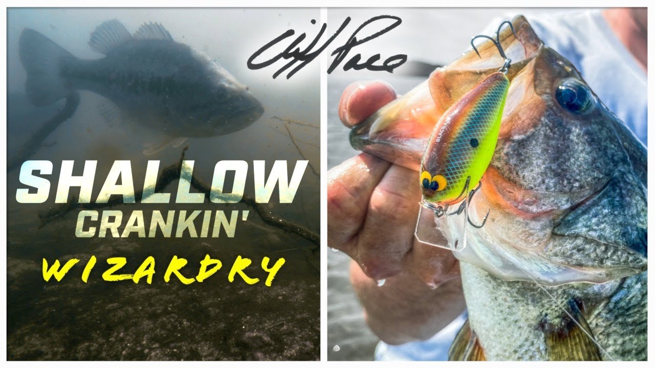 Catch More Bass with Shallow Crankbaits