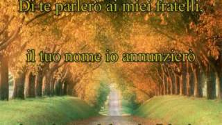 Video thumbnail of "Grazie Signore - RnS"