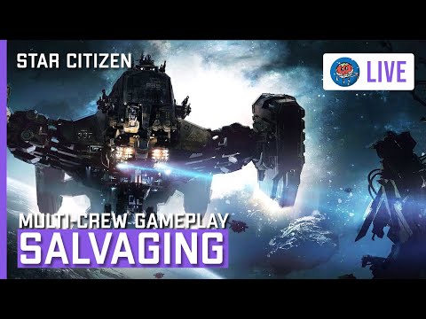 Hauler fights back - Star Citizen Piracy Gameplay - 3.19 - gameplay -  StarZen