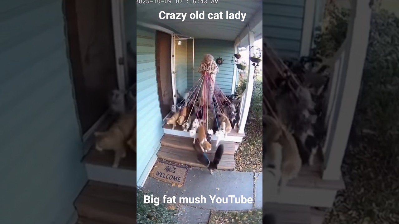 The Real Crazy Cat Lady 😺  