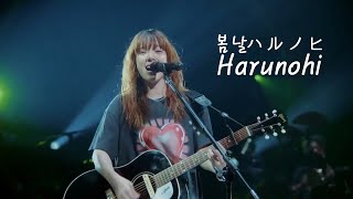 아이묭 - 봄날(ハルノヒ, Harunohi)┃AIMYON TOUR 2023 -マジカル・バスルーム-