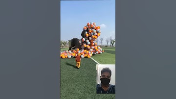 3d video | 3d puppy video | 3d puppy | puppy 3d video | 3d balls |