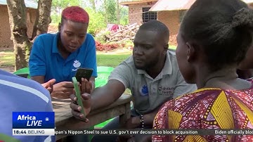 Kenyan farmers use AI app to diagnose crop diseases