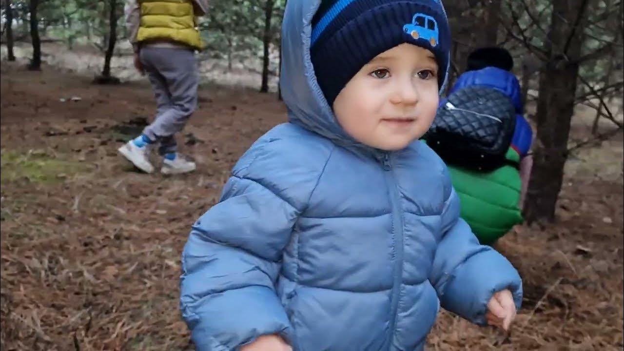 лесные приключения)) - YouTube