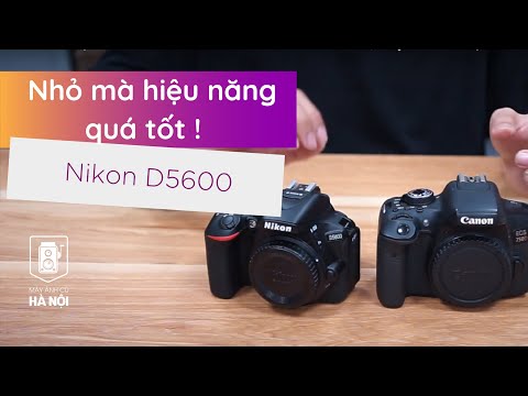 Video: Nikon d5600 có tốt cho phong cảnh không?