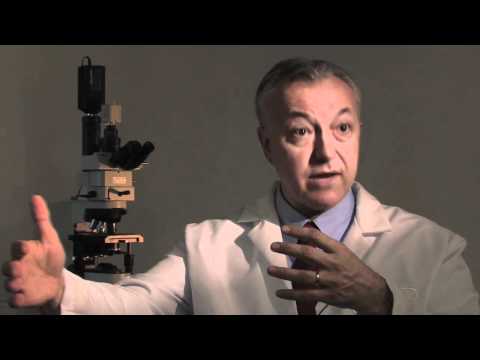 Dr. George Q. Daley on Fragile X Syndrome (edited version)