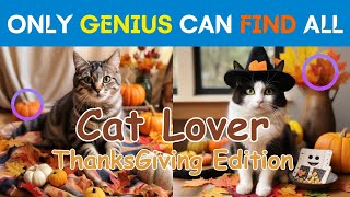 Find & Spot the Difference | Cat Lover ThanksGiving Edition | Quiz