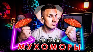 Мухоморный Бум. Культура И Психология Северной Мистерии | Аудиокассеты