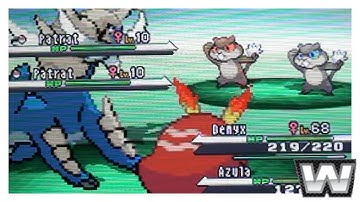 LIVE! Shiny Patrat after 646 RE
