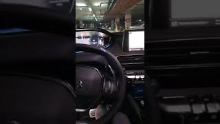 Araba Snapleri Peugeot 3008 Otomatik Park