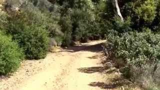 Cone Peak Trail Loop - Part 3 - Vincente Flat Trailhead