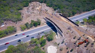 Phil Hardberger Park - Land Bridge in San Antonio (2021)