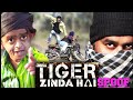 TIGER ZINDA HAI SPOOF || Indian Comedy