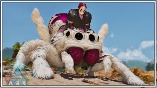 We Tame The New Cute Fluffy Jumping Spider !! | ARK Svartalfheim [EPISODE 22]