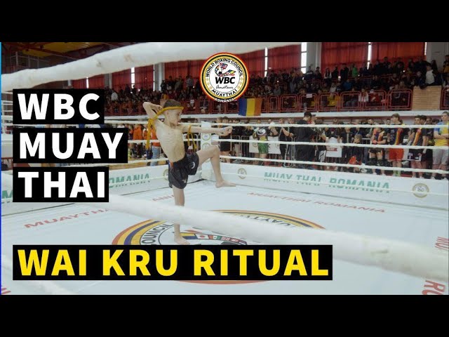 Tobilleras Elasticas Nationman NT-01 - Wai Kru Muay Thai