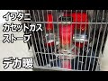 イワタニ カセットガスストーブ デカ暖