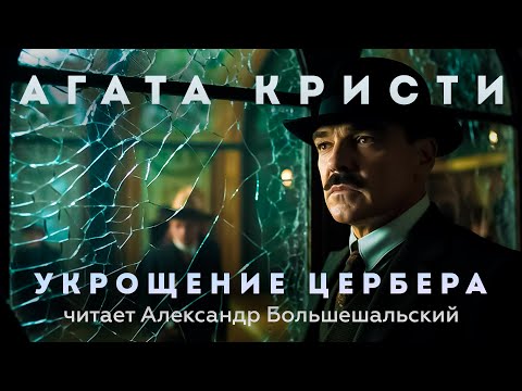 Видео: Как получить кошку, чтобы понравиться вам