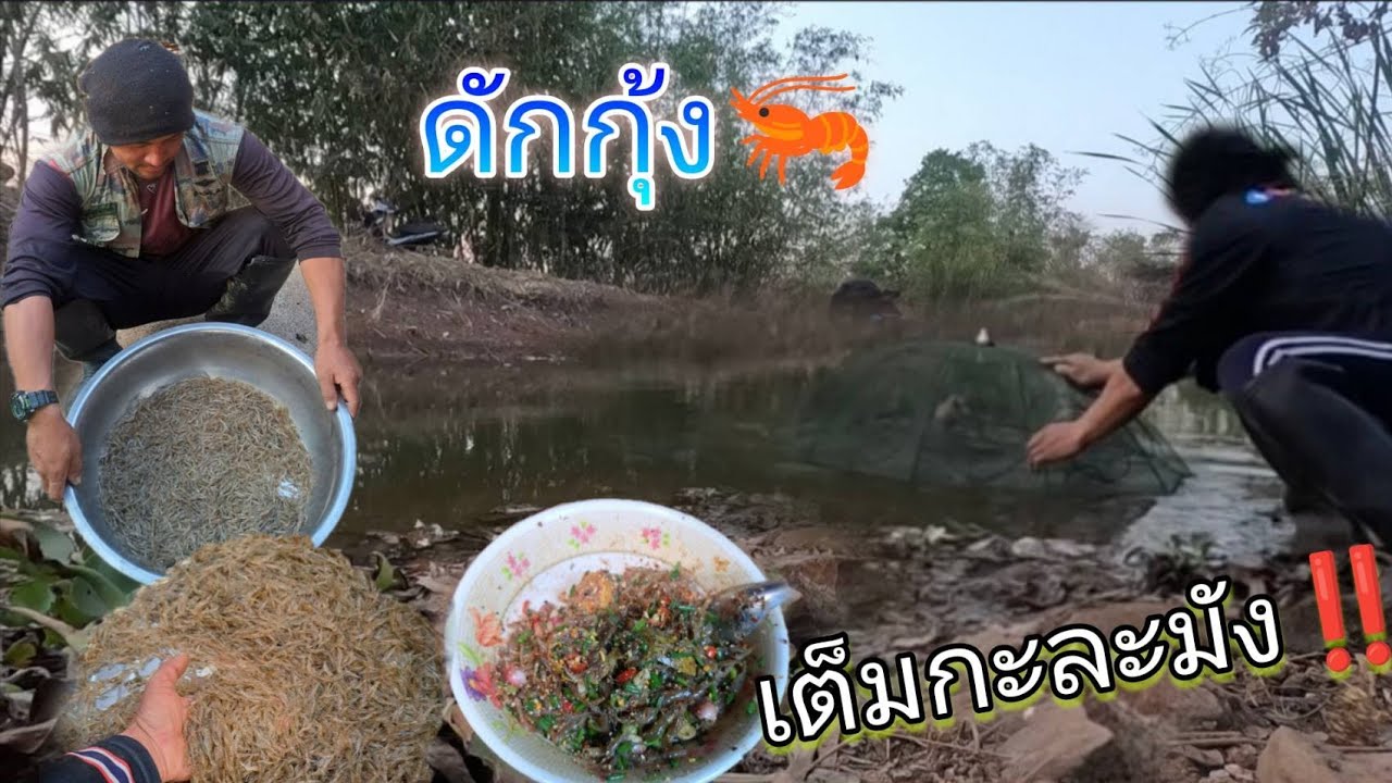 แตกซวดๆเต็มตุ้ม‼️นอนคืนดักกุ้ง ก้อยกุ้งแซ่บๆ #งานนี้ติดดีเกินคาดหมานสุดๆ