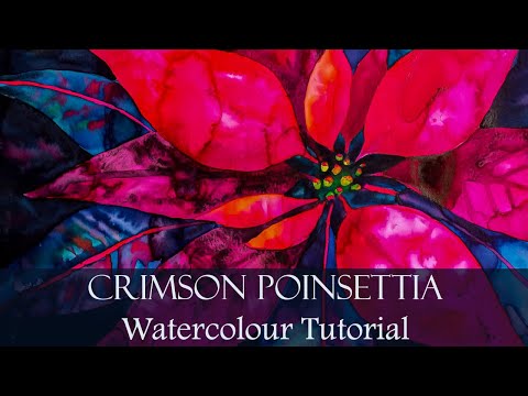 Christmas Star Red Poinsettia Flower Bold Watercolor Painting