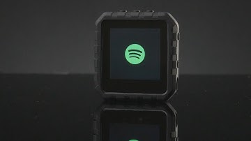 The Delphin - Ditch the Phone, Not the Apps!