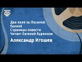 Александр Игошев. Два поля за Лосиной балкой. Страницы повести. Читает Евгений Буренков (1980)