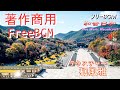 ★和風雅/テクスチャー【著作・商用フリー♪Free BGM & Sound effect 】琴と尺八の和風で幻想的な曲です