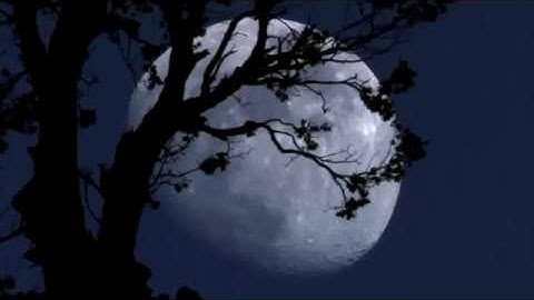 سورة المنافقون القارئ فارس عباد قراءه جميله ماشاء الله surah al-Monafiqun holy qoran 3D