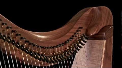 FH36H in walnut,  built by Dusty Strings