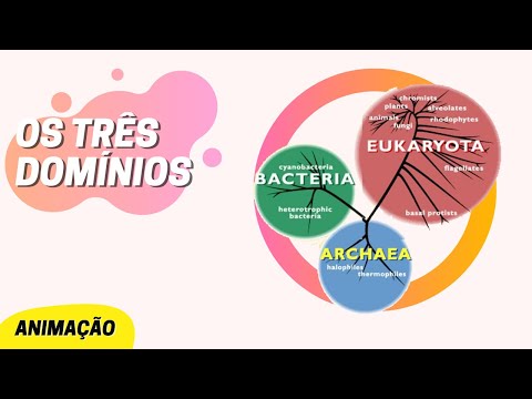 Vídeo: Quais são os três domínios da biologia?