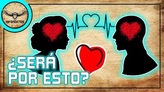 ¿Por qué nos ATRAEN ciertas Personas?❤️ 7+1 rasgos ATRACTIVOS [casi] inconscientes || Infoadictos