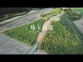 埼玉回遊「モドキとヤギのあてどない旅」序章 映像