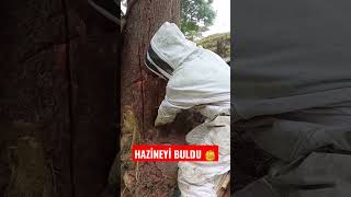 Hazineyi Buldu I Icılık Ğa Ilık 