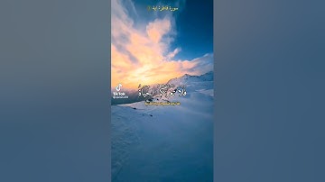 فلا تغرنكم الحياة😔 سورة فاطر ❤️بصوت الشيخ ياسر الدوسري 💙🖤🖇️||حالات واتس اب دينية🕋🖤||