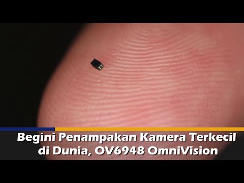 Video: Apa Kamera Terkecil Di Dunia?