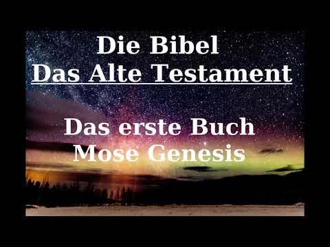 Genesis YouTube Hörbuch auf Deutsch
