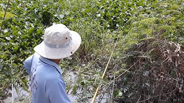 CÂU CÁ THIÊN NHIÊN_TIẾP TỤC VỚI ĐIỂM CÂU NHIỀU CÁ NHẤT VÀ ĐÔI LỜI TÂM SỰ||MINH ĐỨC MT