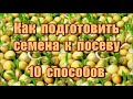 446_Как подготовить семена к посеву. 10 способов