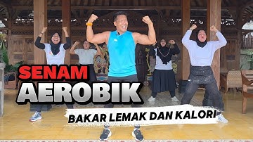 AEROBIK BAKAR LEMAK DAN KALORI BB 80++
