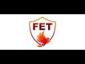 FET MST Universal Fire Sensor 14 in 1 Russian