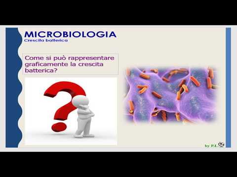 Video: La Sottoregolazione Del Gene O-metiltransferasi Dell'acido Caffeico In Switchgrass Rivela Un Nuovo Analogo Del Monolignolo