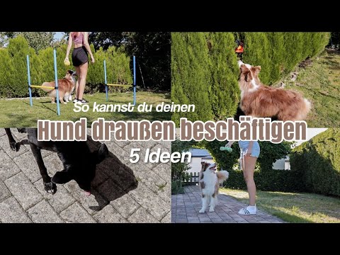 5 IDEEN wie du deinen HUND BESCHÄFTIGEN kannst! - Hundetraining für draußen