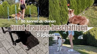 5 IDEEN wie du deinen HUND BESCHÄFTIGEN kannst! - Hundetraining für draußen by Kim Jaro 1,625 views 7 months ago 4 minutes, 5 seconds