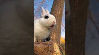 Cute . A Beautiful Moment -