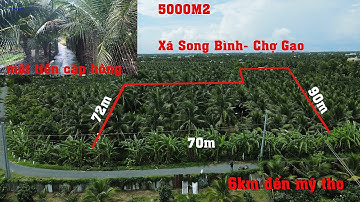 bán vườn dừa 5000m có 2 mặt tiền cặp lộ nhựa tại xã song bình huyện chợ gạo TG cách mỹ tho chỉ 6km